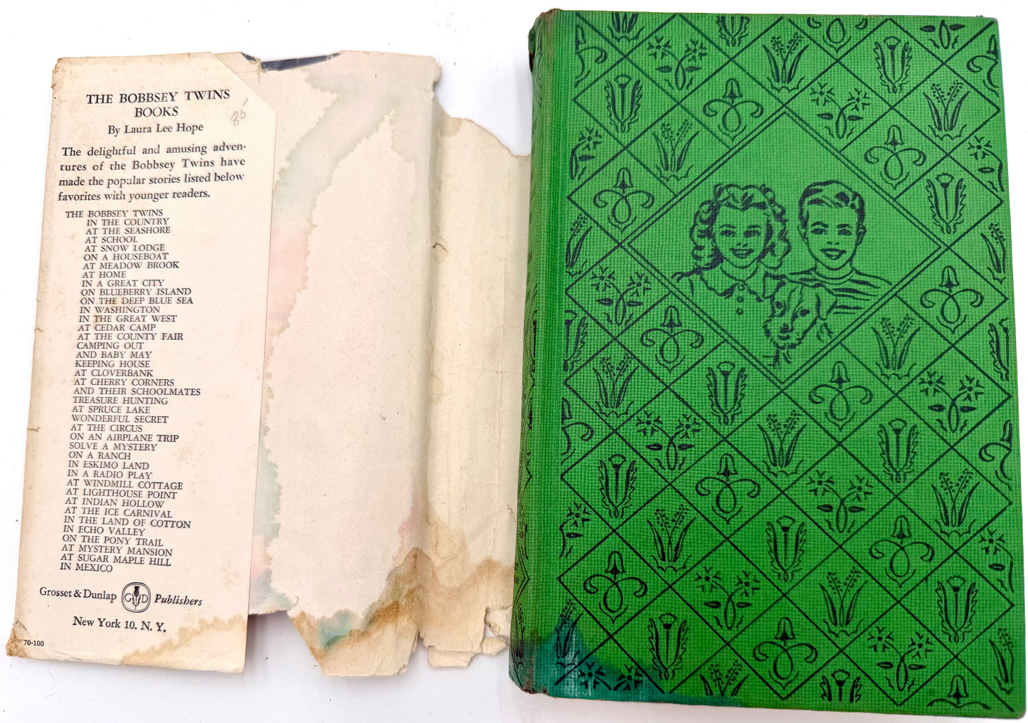 The Bobbsey Twins: On an Airplane Trip