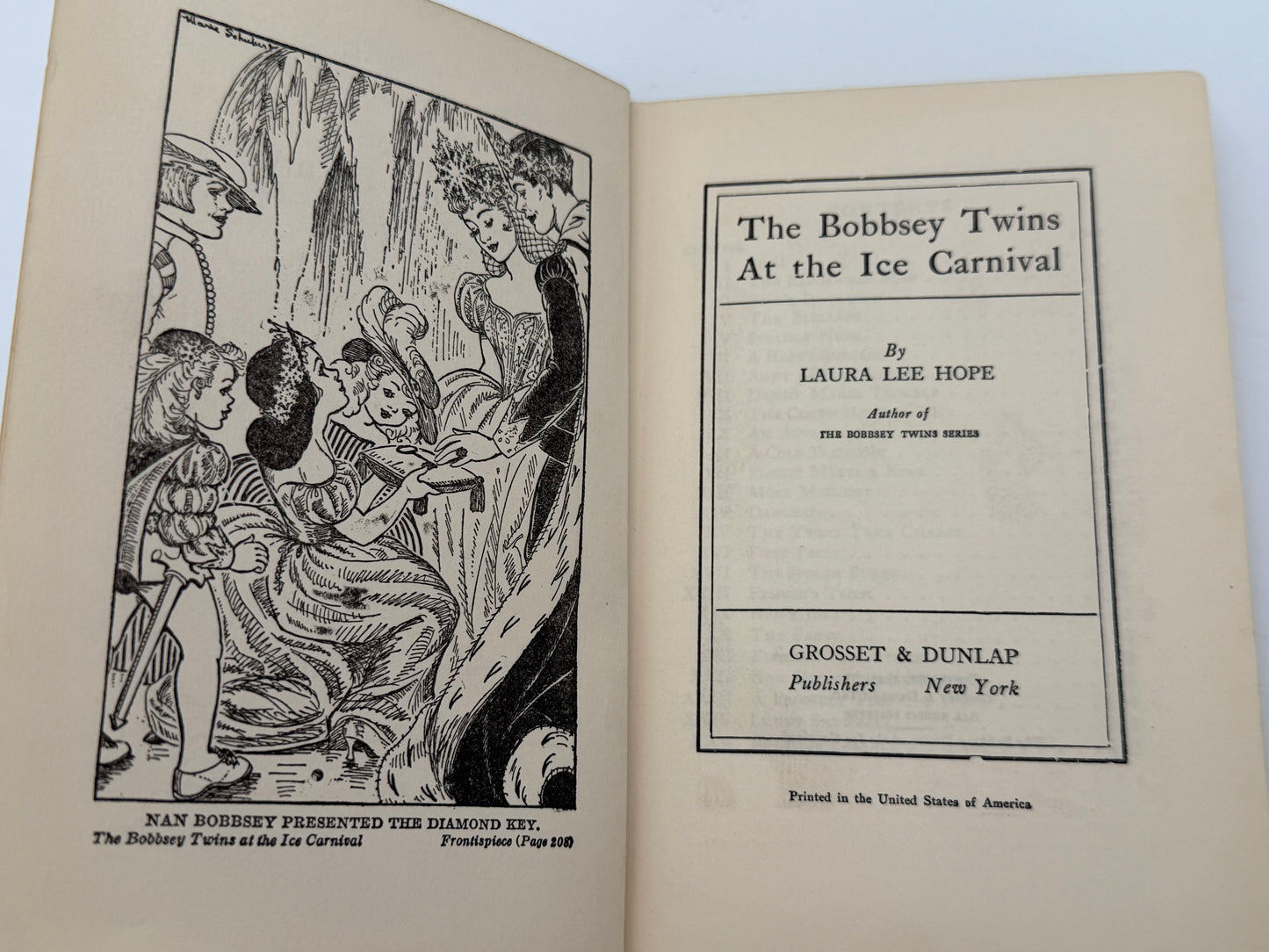 The Bobbsey Twins: At The Ice Carnival