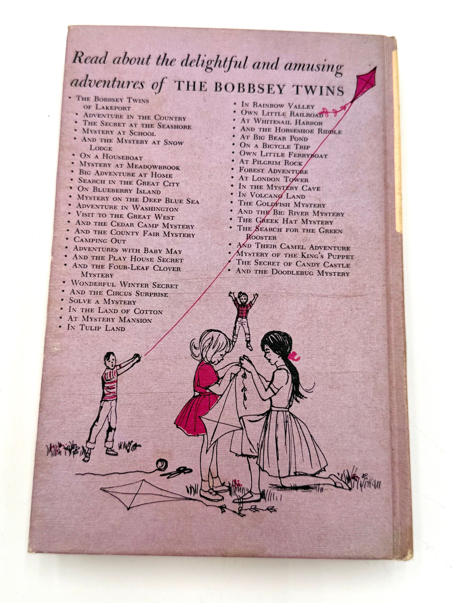 The Bobbsey Twins: Adventure In Washington