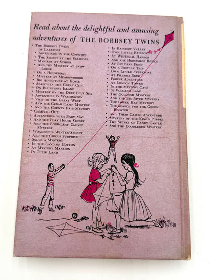 The Bobbsey Twins: Adventure In Washington