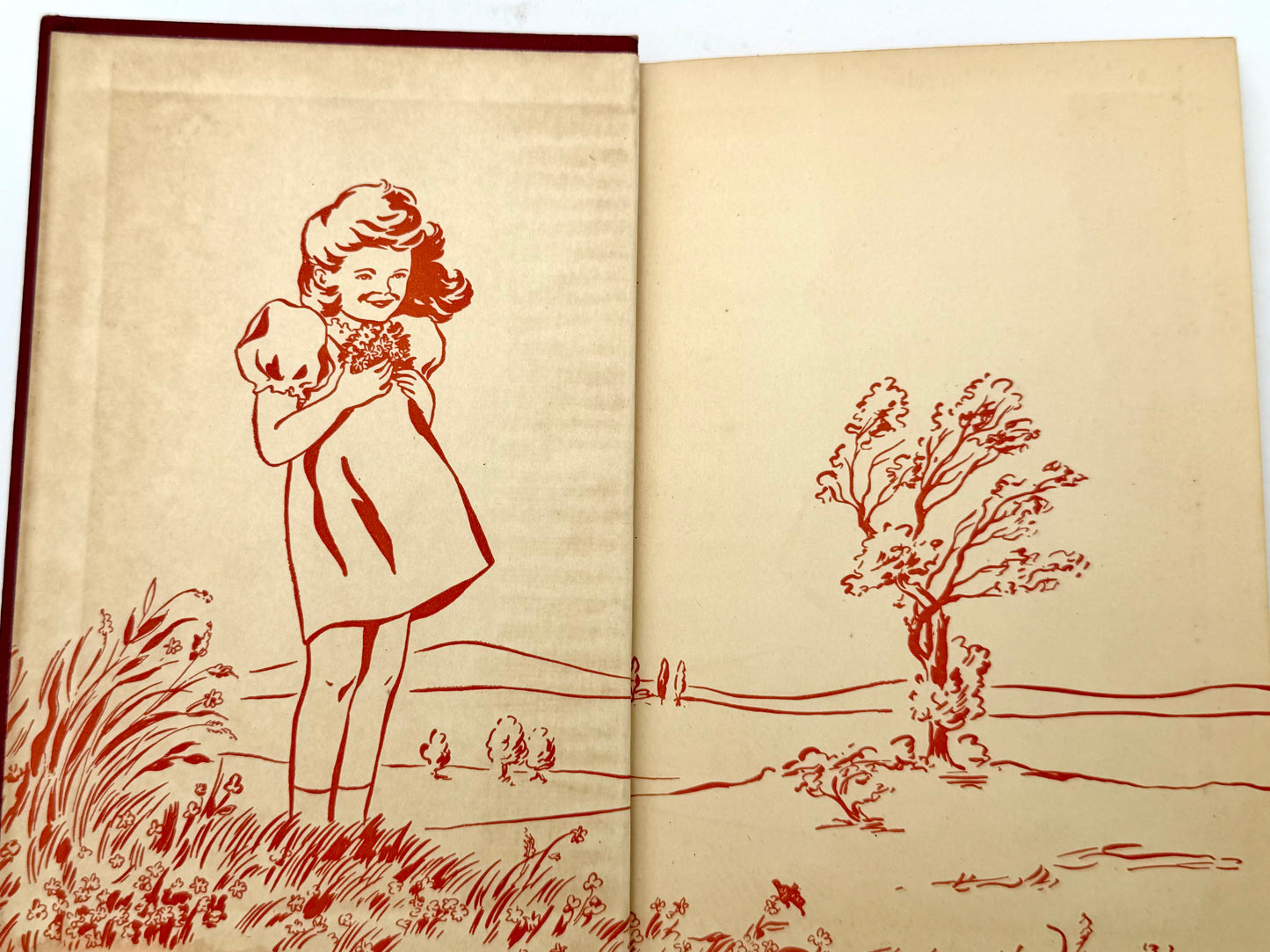 Honey Bunch: Her First visit to the zoo