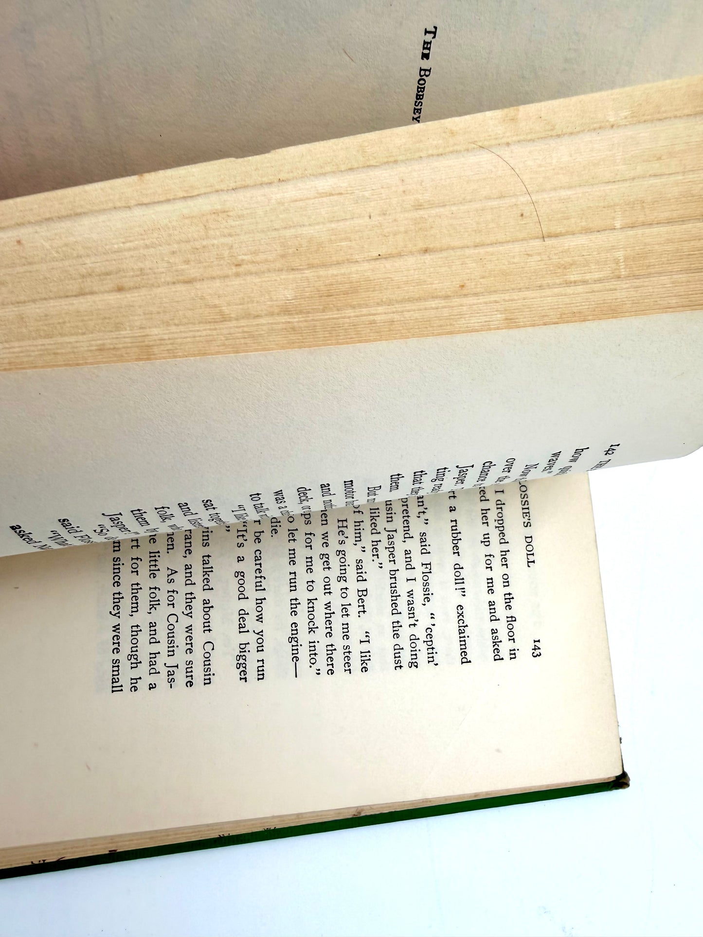 The Bobbsey Twins: On The deep blue sea