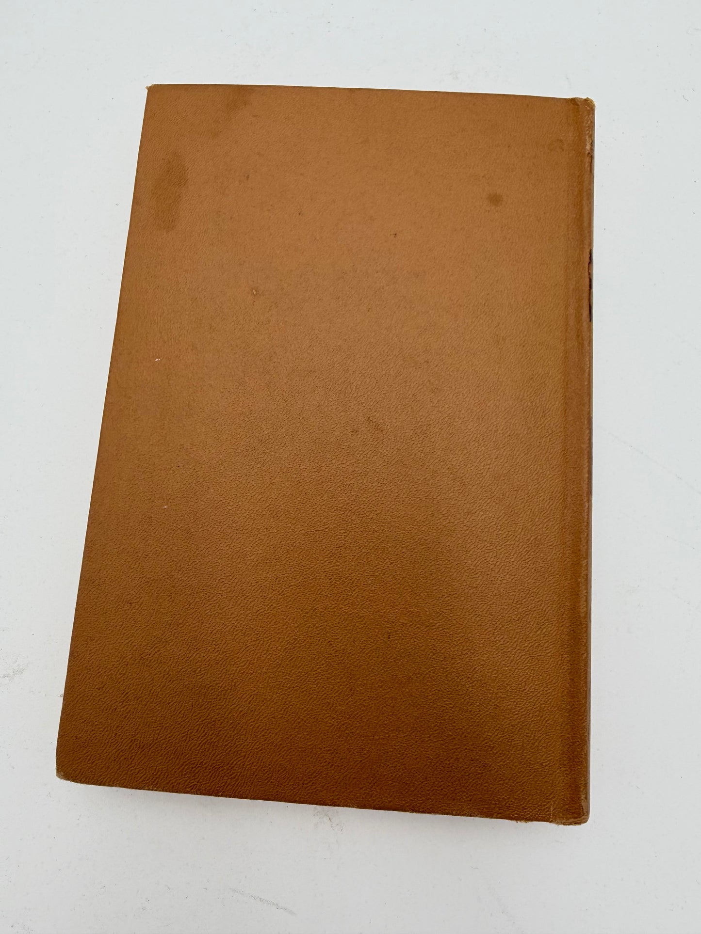 Honey Bunch: Her first Costume Party