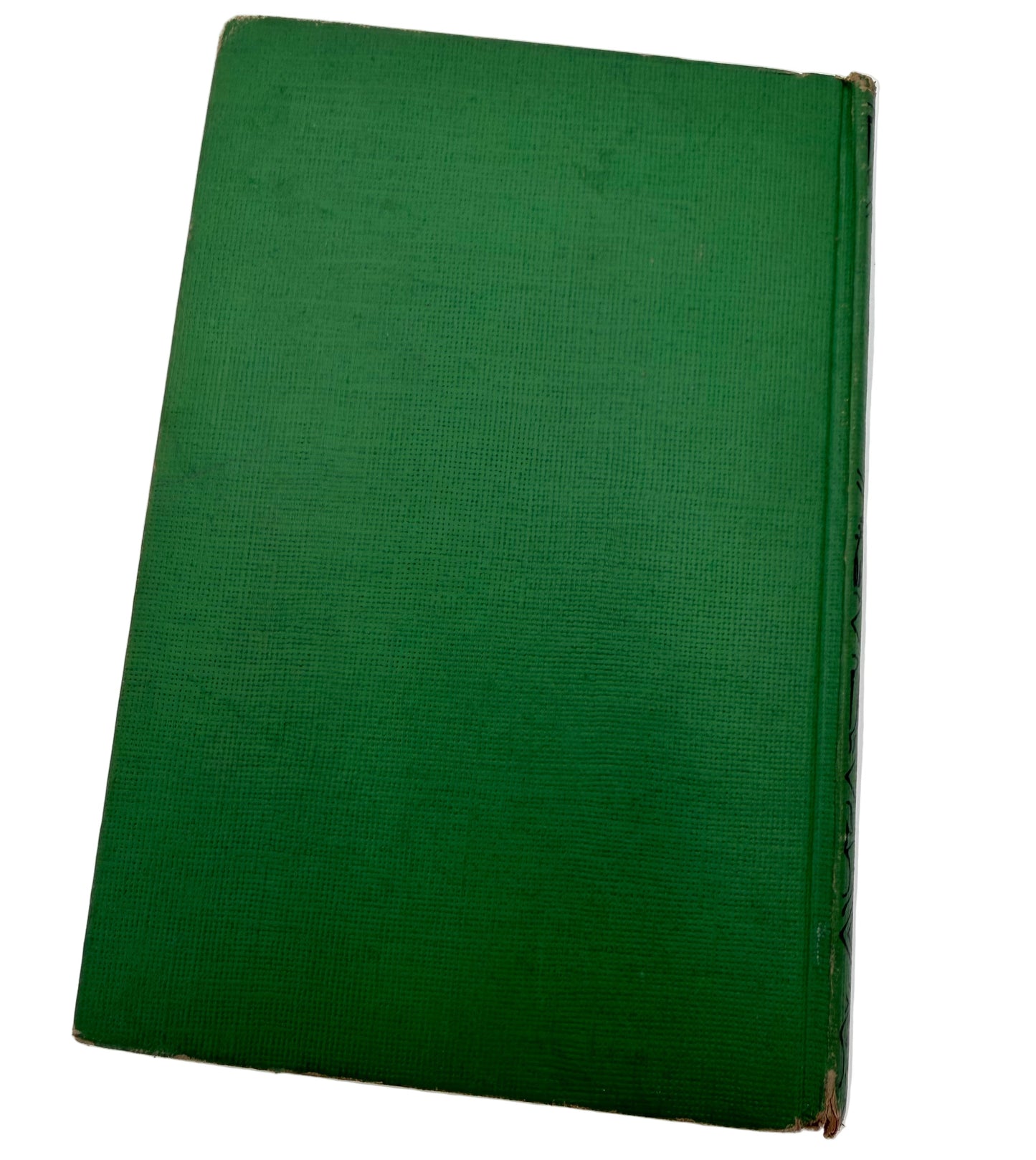 The Bobbsey Twins: On The deep blue sea