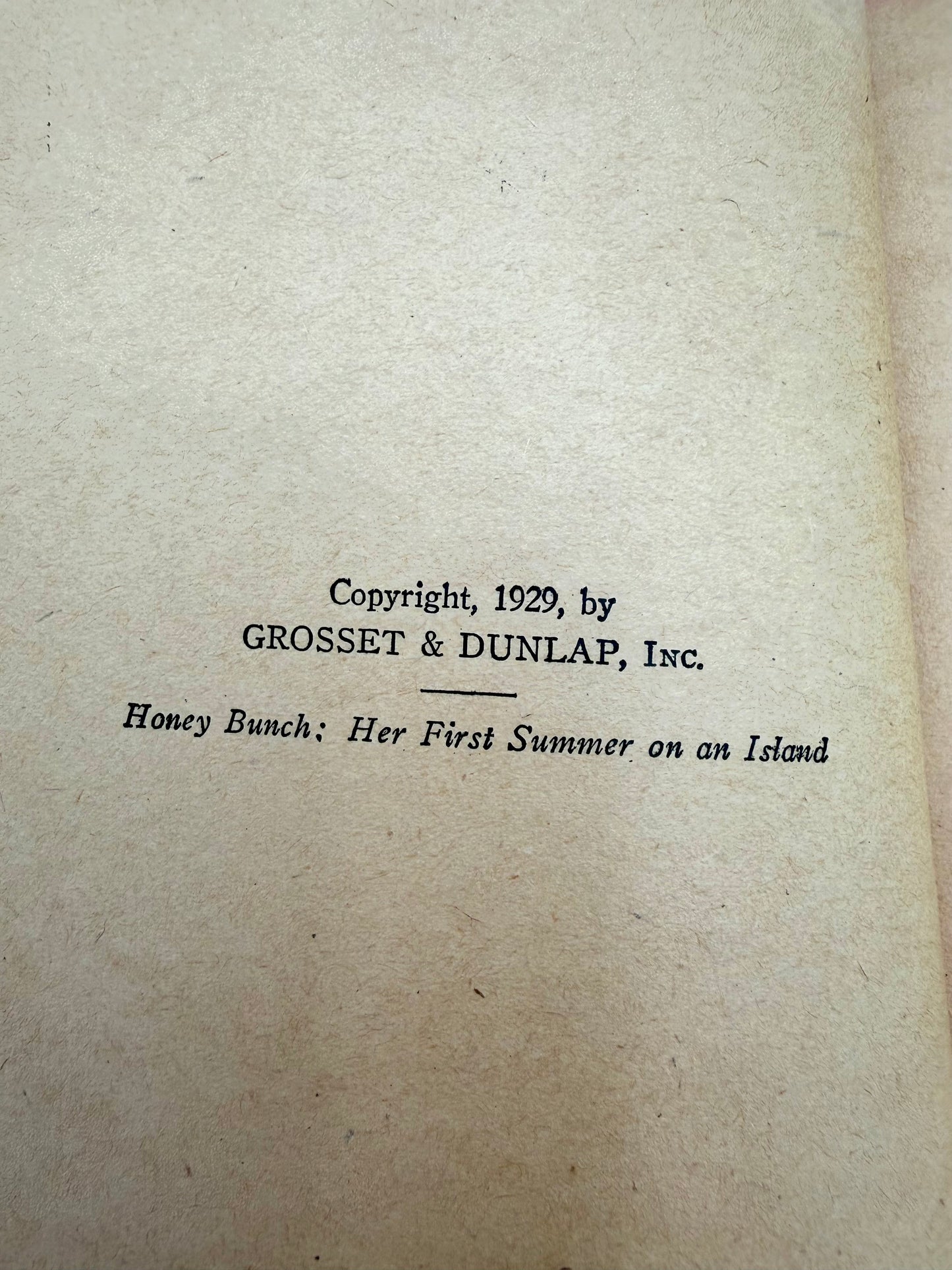 Honey Bunch: Her first Summer on an Island