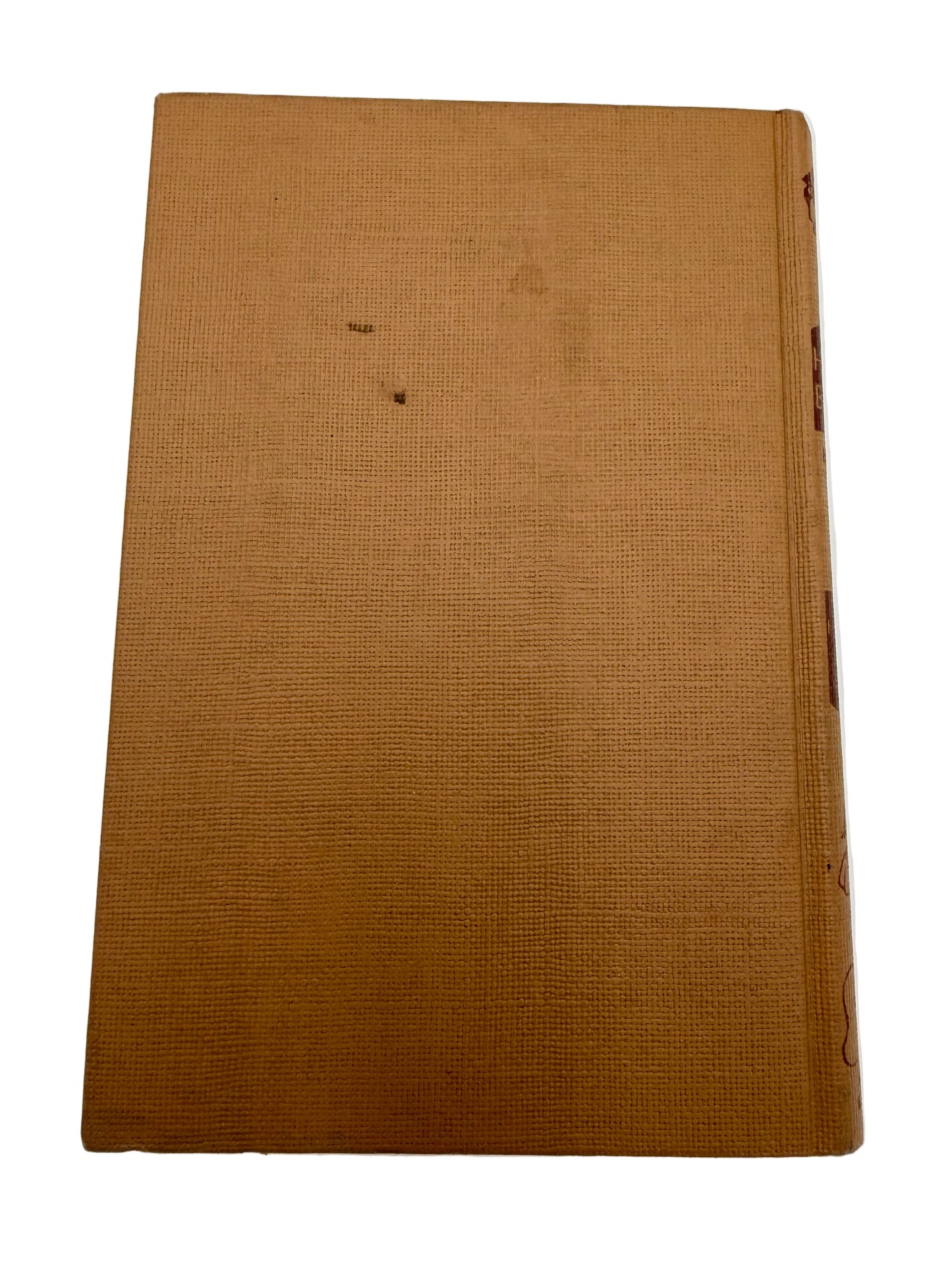 Honey Bunch: Her first visit to pony ranch