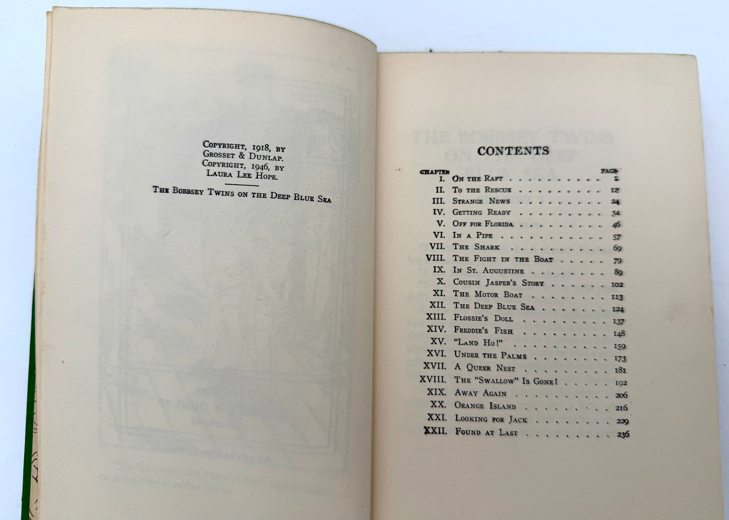 The Bobbsey Twins: On The deep blue sea
