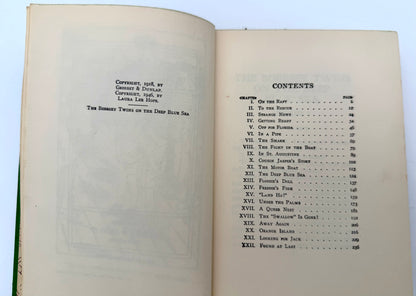 The Bobbsey Twins: On The deep blue sea