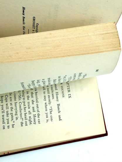 Honey Bunch: Her First visit to the zoo