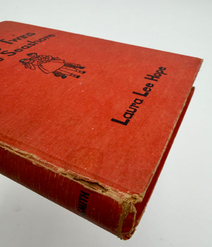 The Bobbsey Twins: At the Seashore