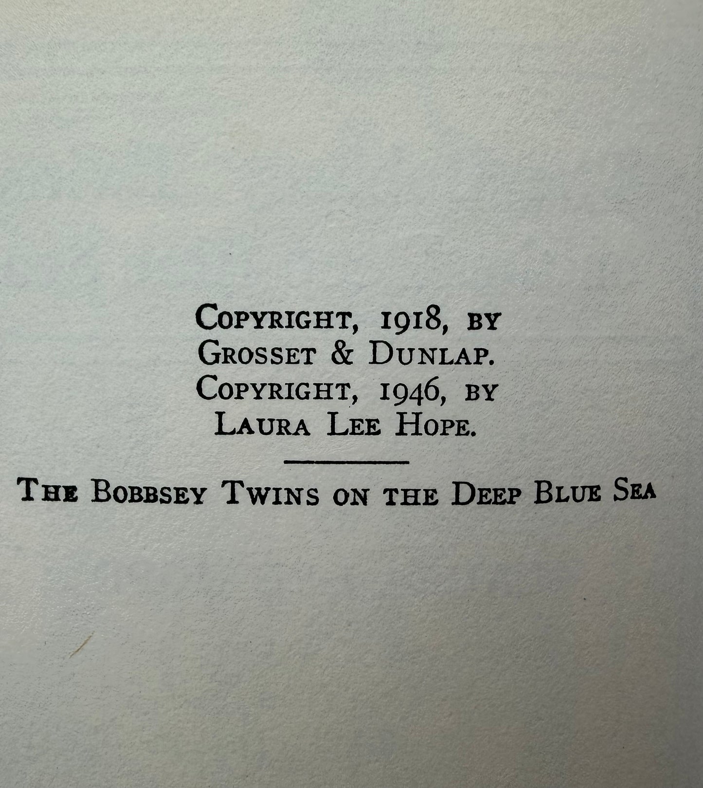 The Bobbsey Twins: On The deep blue sea