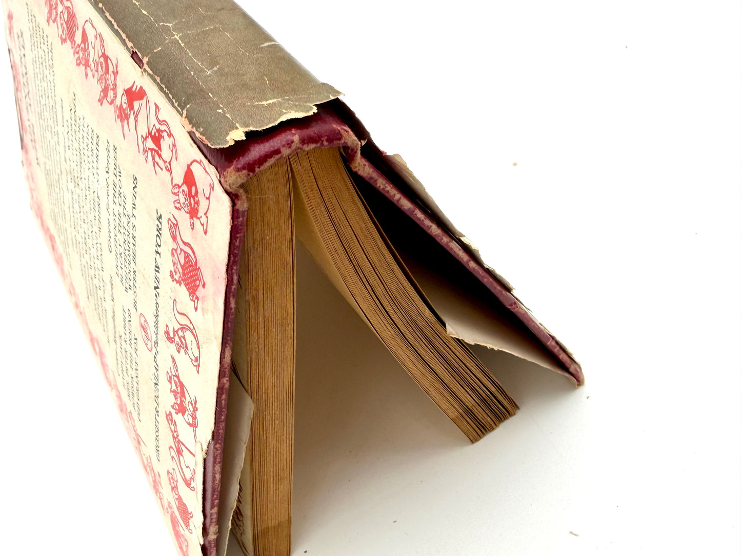 Honey Bunch: Her First Trip On The Ocean