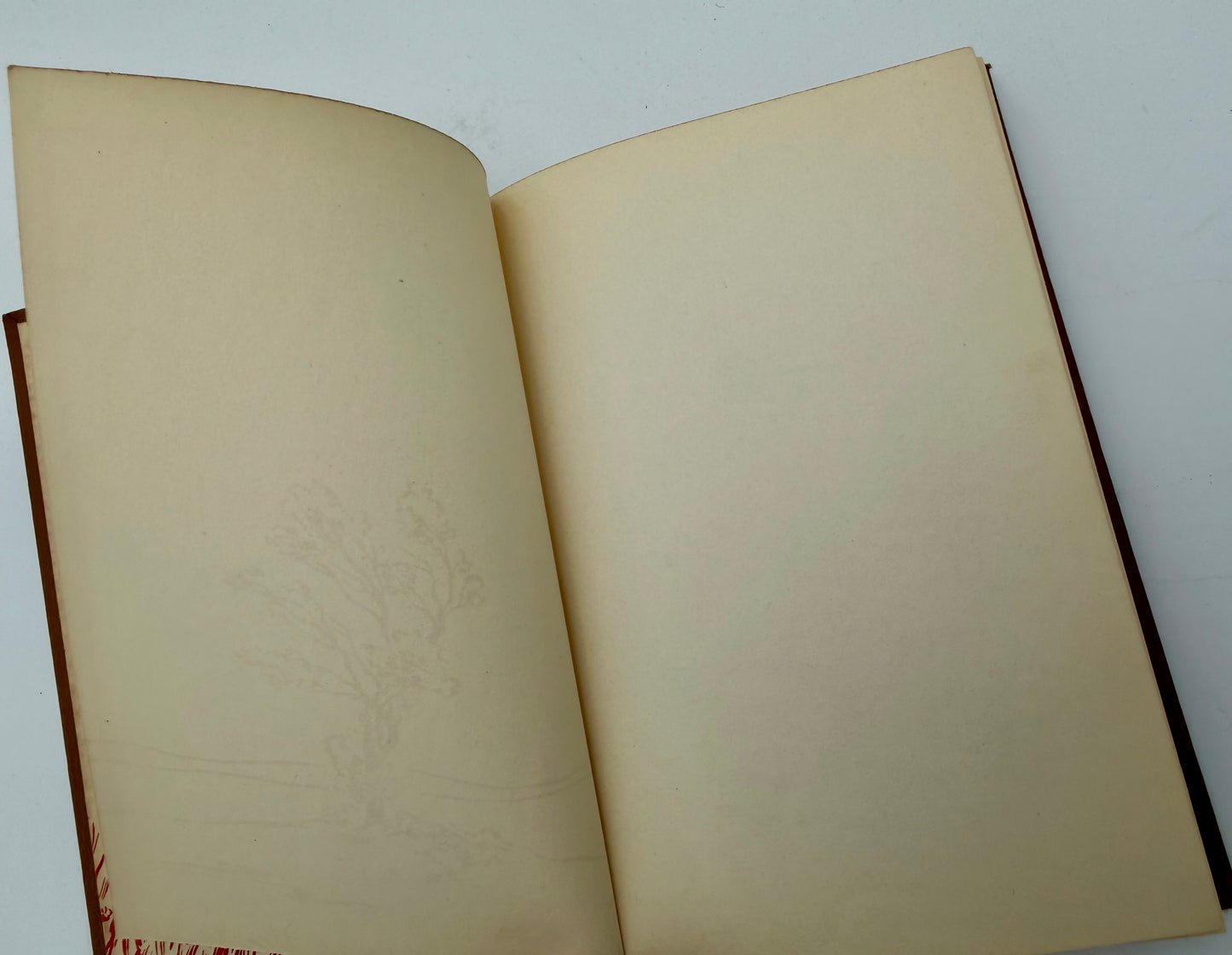 Honey Bunch: Her first Costume Party