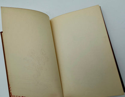 Honey Bunch: Her first Costume Party