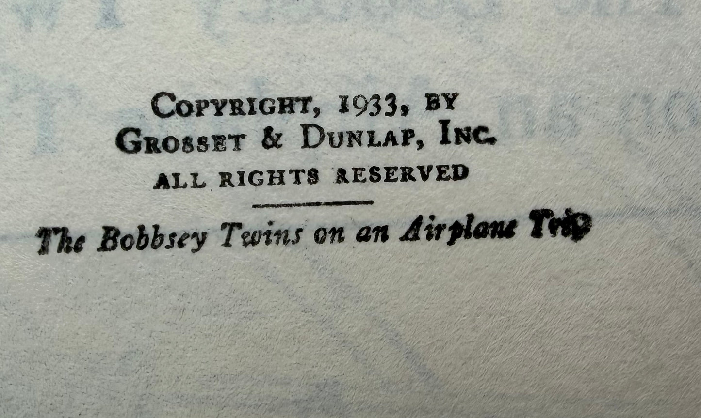 The Bobbsey Twins: On an Airplane Trip