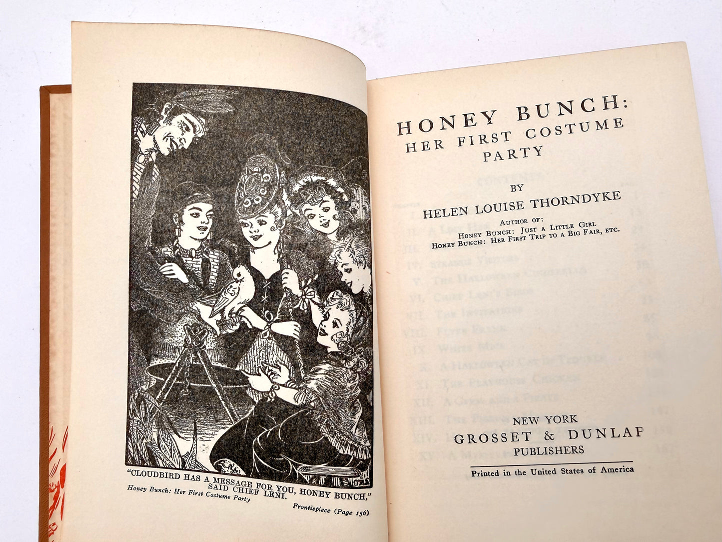 Honey Bunch: Her first Costume Party