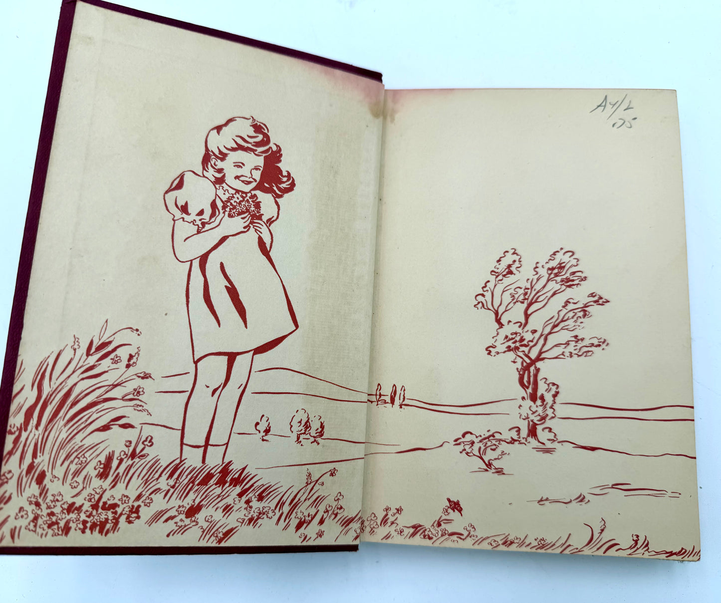 Honey Bunch: Her First Trip West