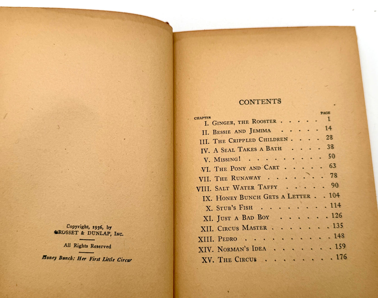 Honey Bunch: Her First Trip On The Ocean