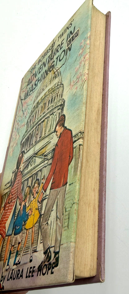 The Bobbsey Twins: Adventure In Washington