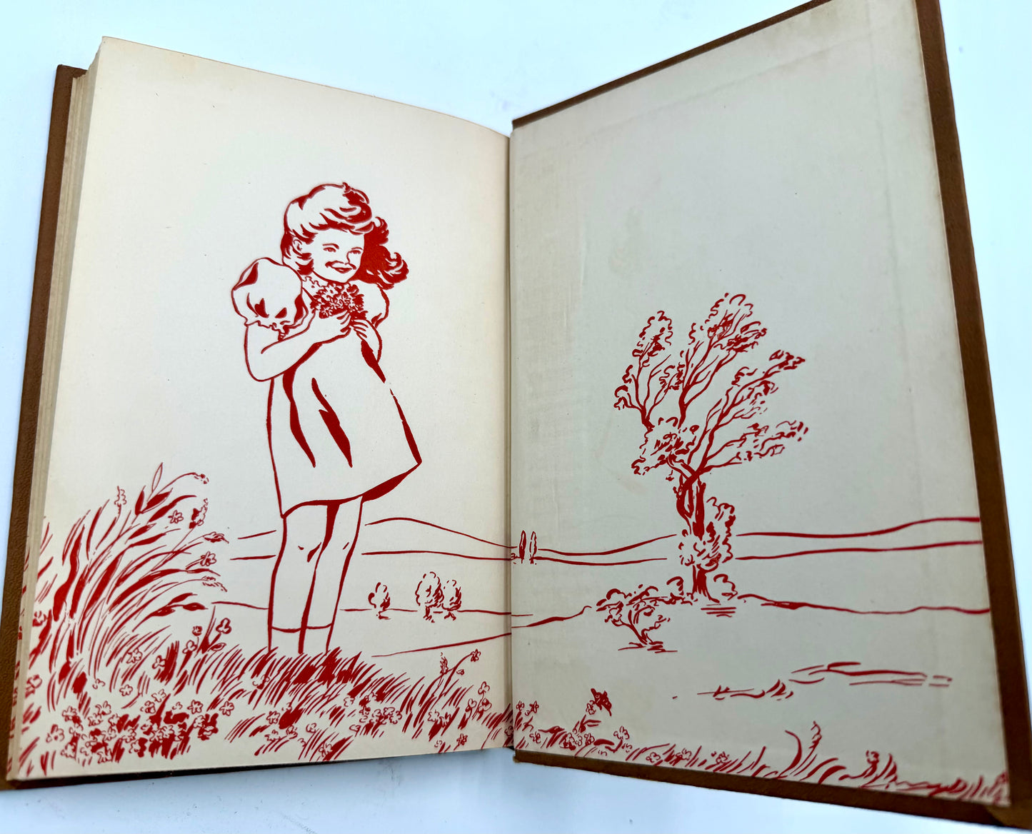 Honey Bunch: Her first Costume Party