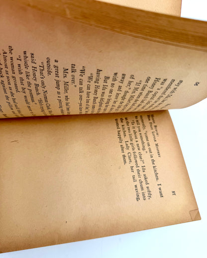 Honey Bunch: Her First Little Mystery