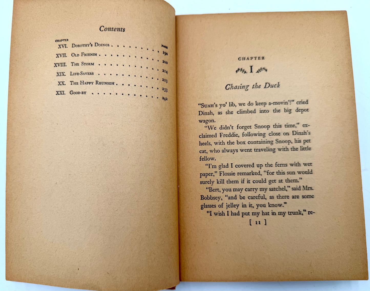 The Bobbsey Twins: At the Seashore
