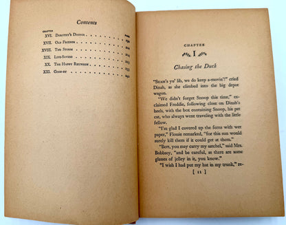 The Bobbsey Twins: At the Seashore