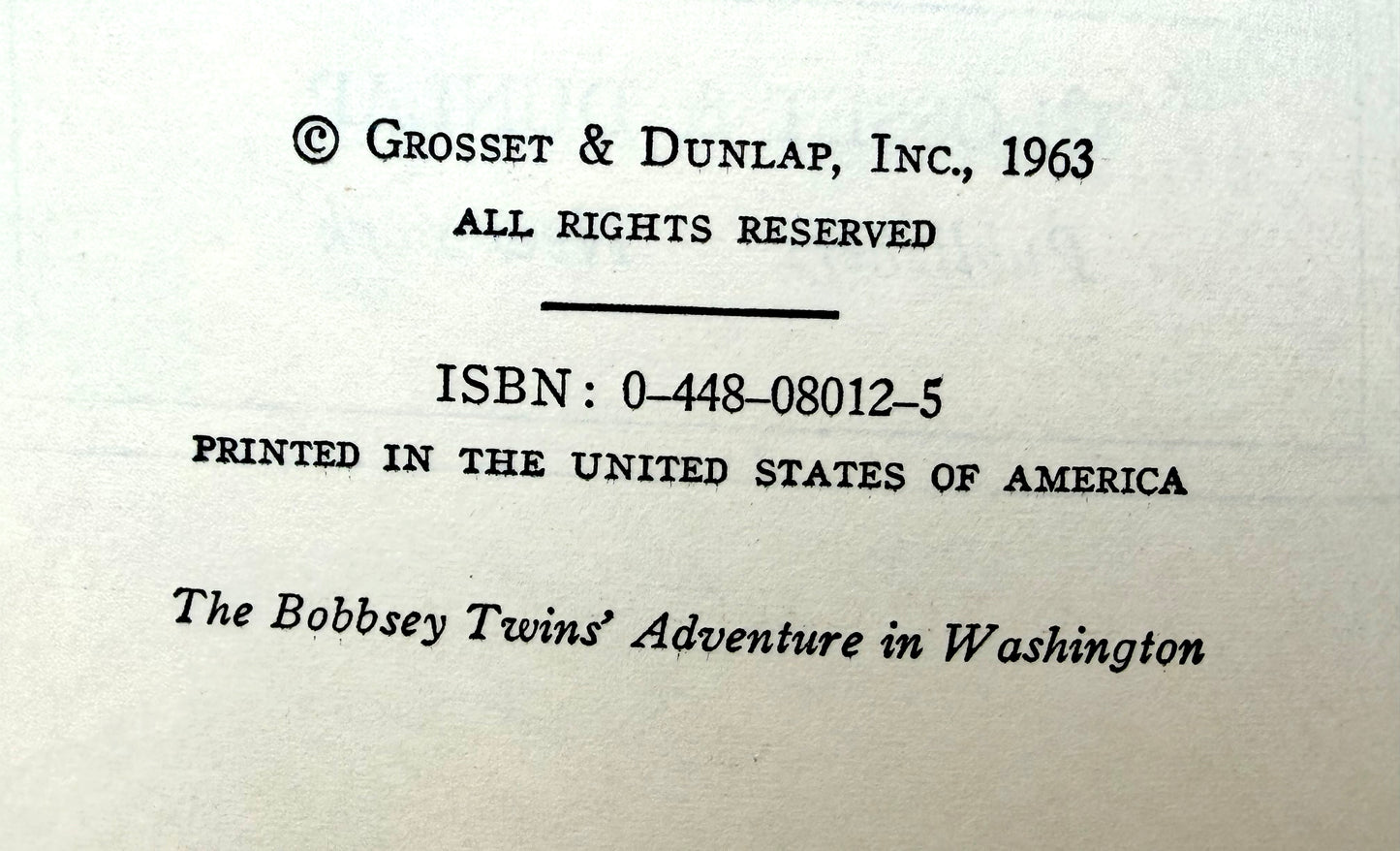 The Bobbsey Twins: Adventure In Washington