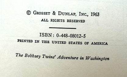 The Bobbsey Twins: Adventure In Washington