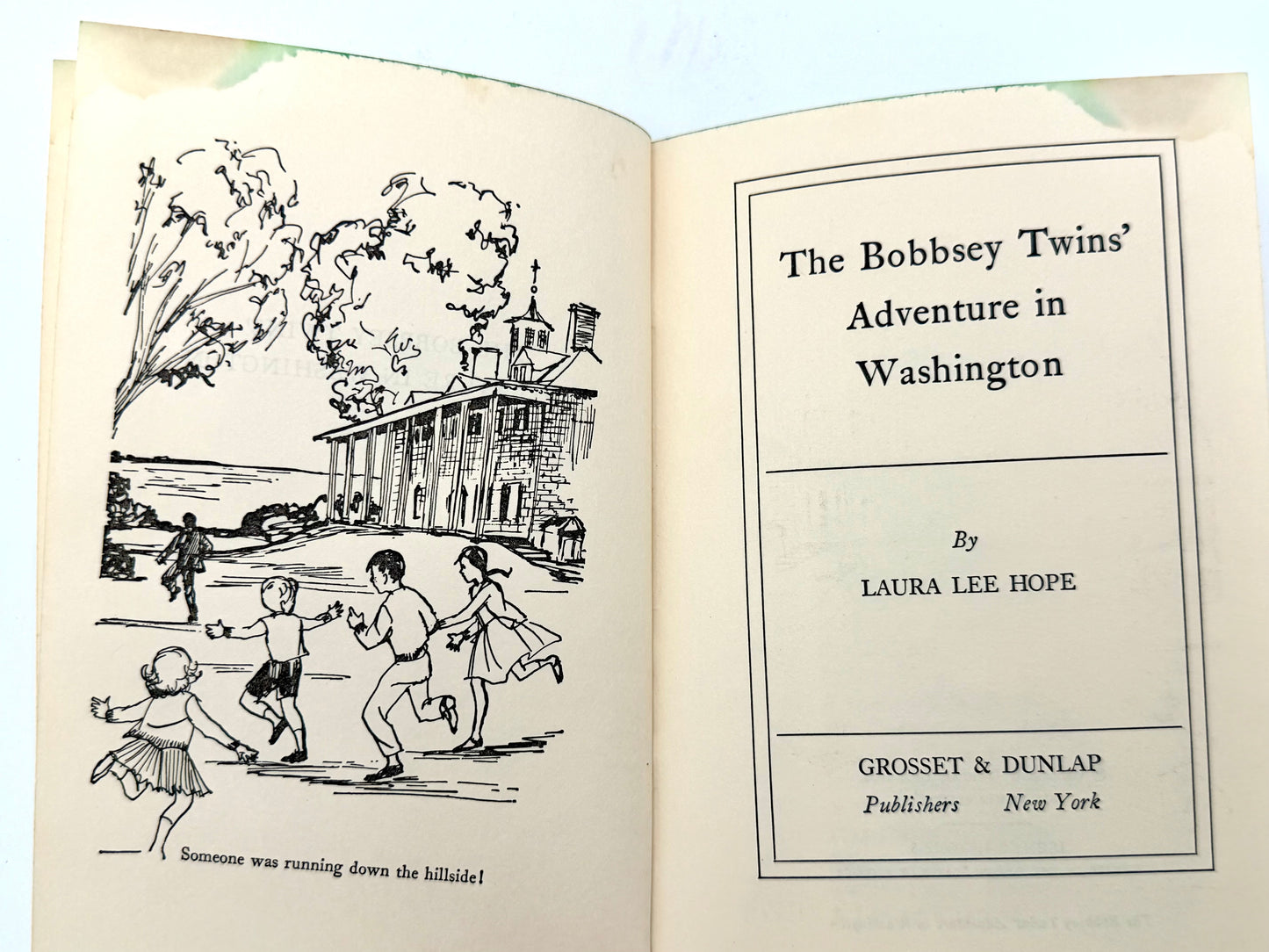 The Bobbsey Twins: Adventure In Washington