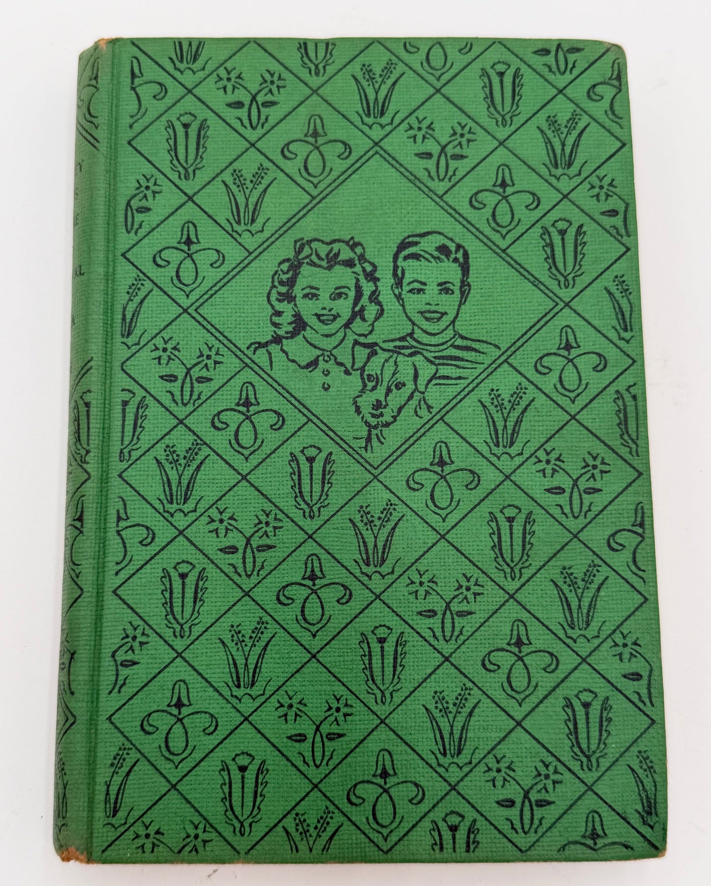 The Bobbsey Twins: At The Ice Carnival
