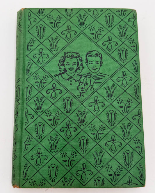 The Bobbsey Twins: At The Ice Carnival