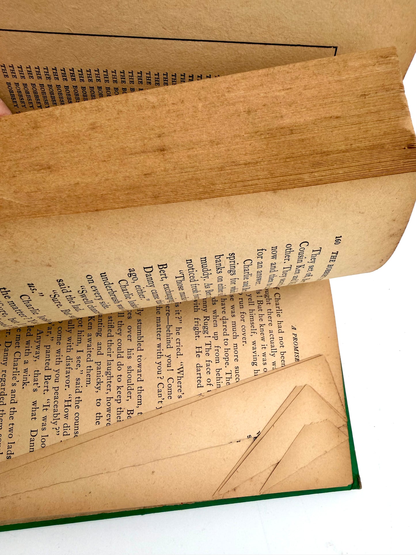 The Bobbsey Twins: At Indian Hallow