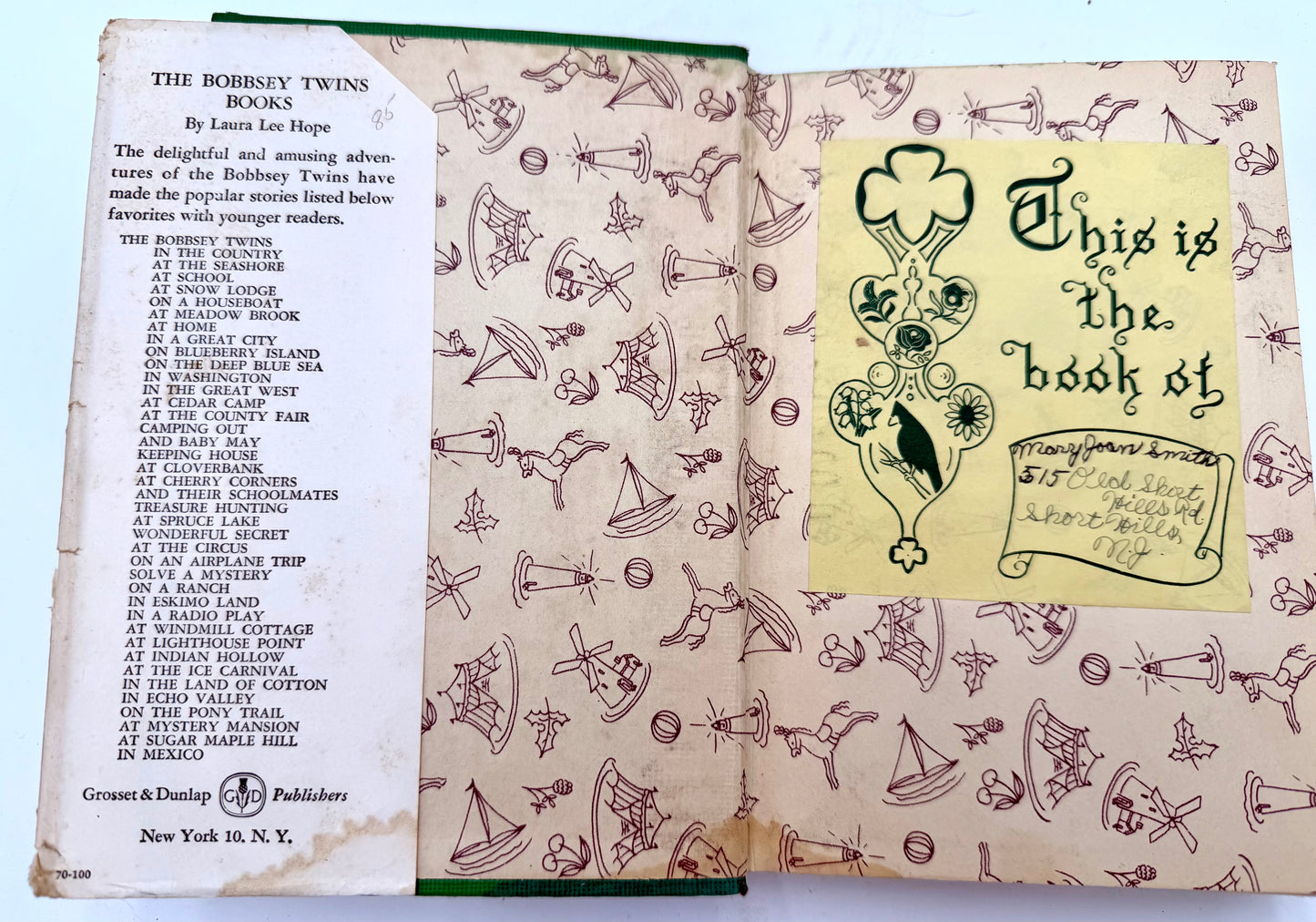 The Bobbsey Twins: On an Airplane Trip