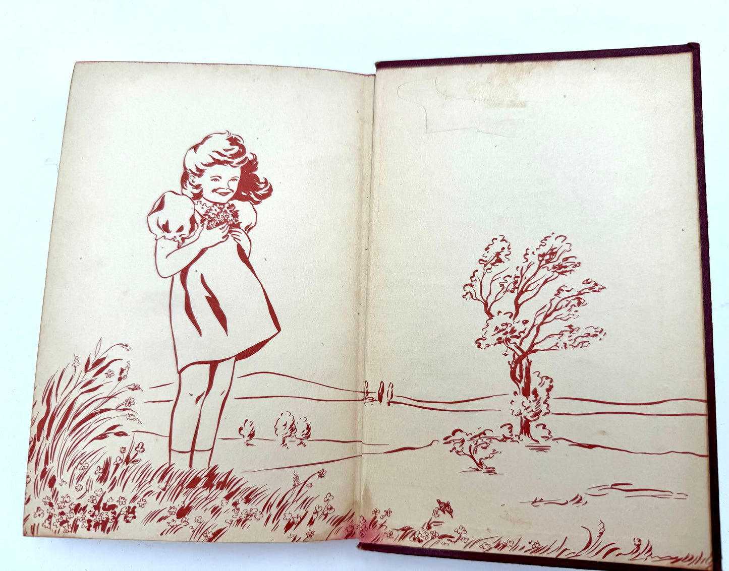 Honey Bunch: Her First Little Mystery