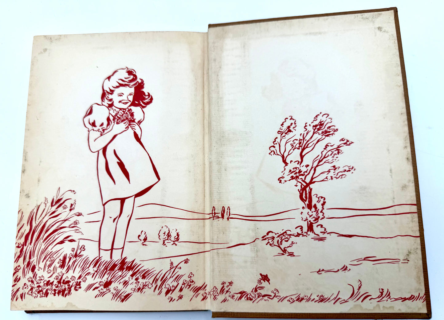 Honey Bunch: Her first visit to pony ranch