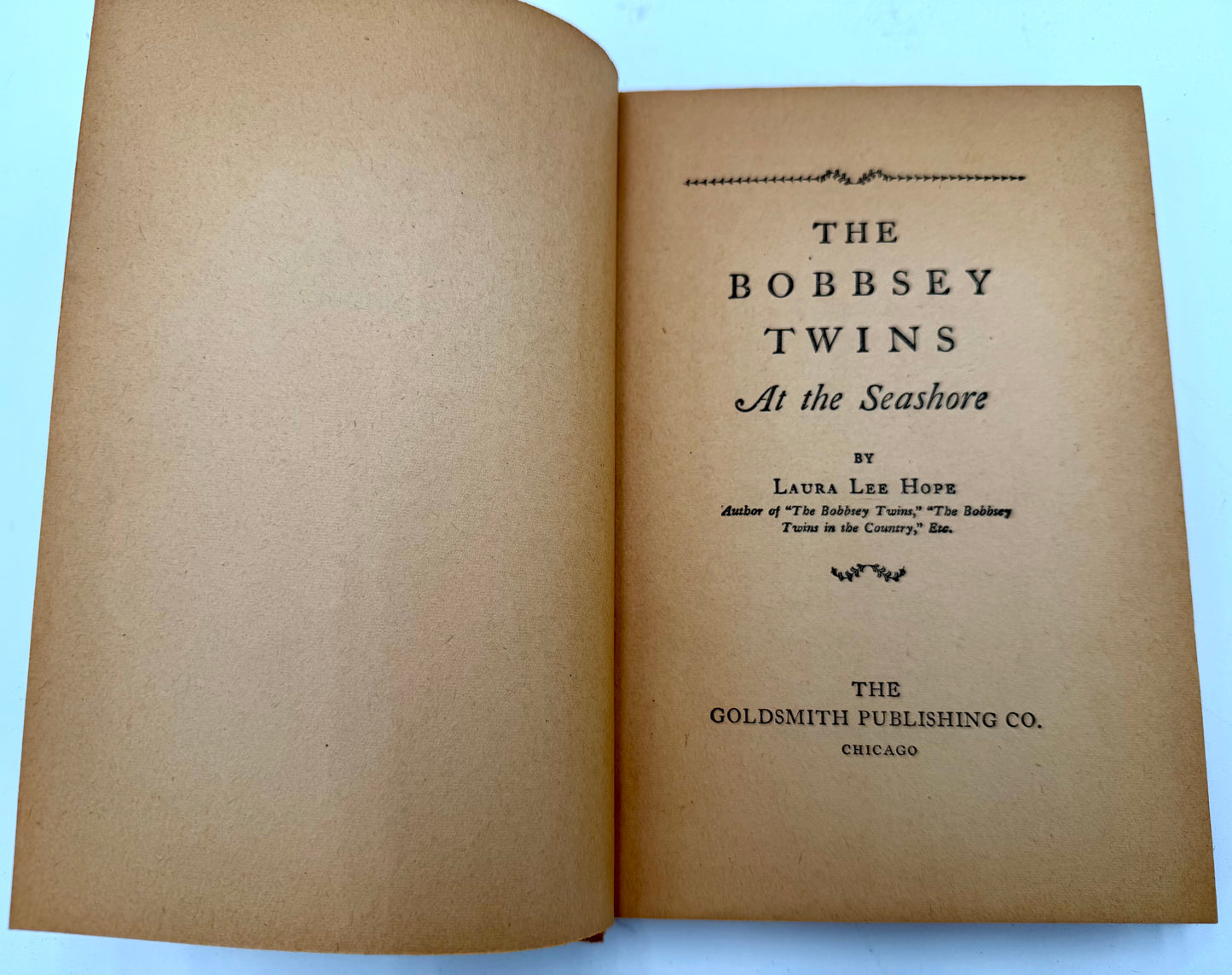 The Bobbsey Twins: At the Seashore