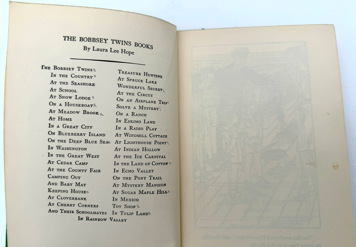 The Bobbsey Twins: On The deep blue sea
