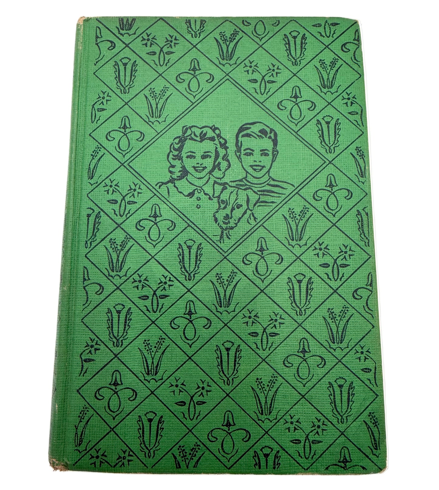 The Bobbsey Twins: On The deep blue sea
