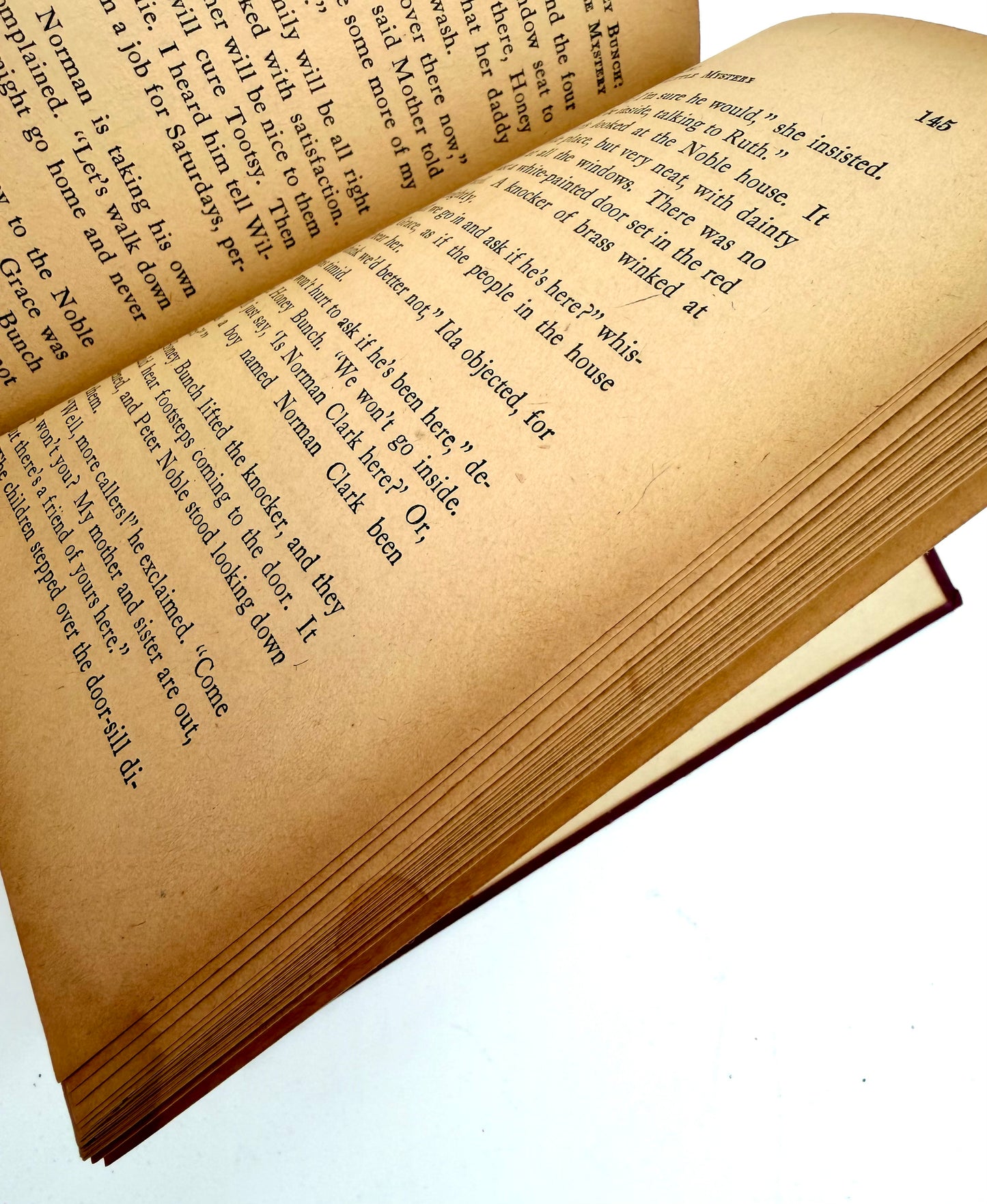 Honey Bunch: Her First Little Mystery