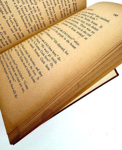 Honey Bunch: Her First Little Mystery