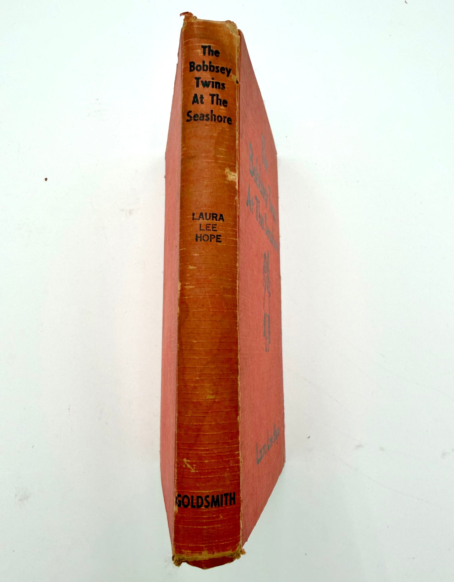 The Bobbsey Twins: At the Seashore