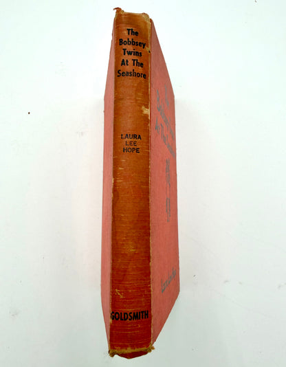 The Bobbsey Twins: At the Seashore