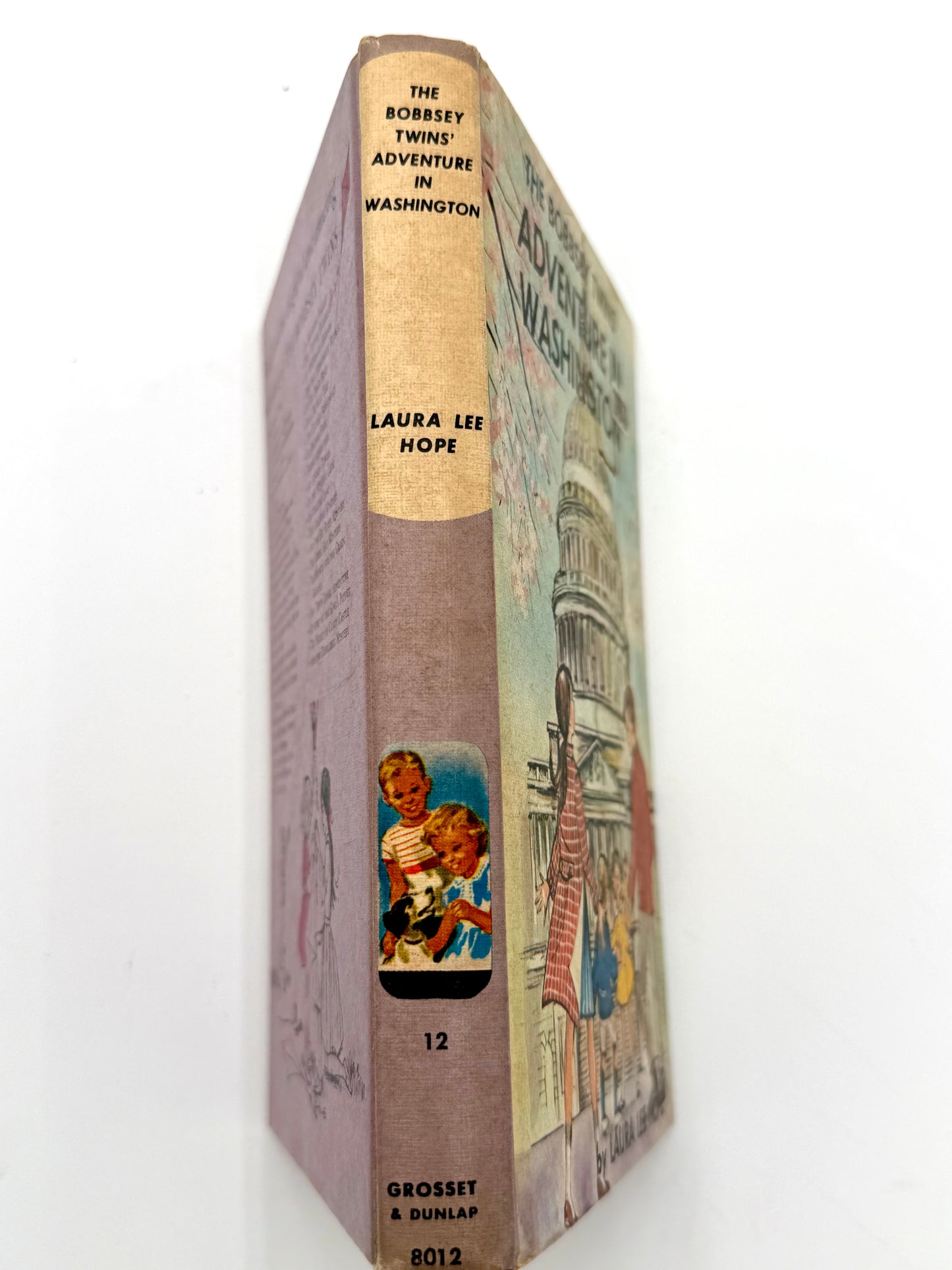 The Bobbsey Twins: Adventure In Washington