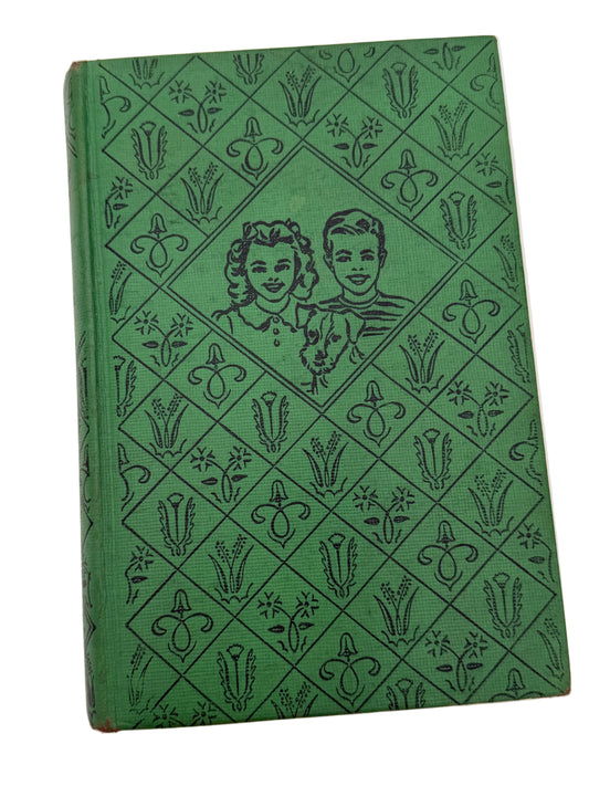 The Bobbsey Twins:Toy shop by Laura Lee Hope