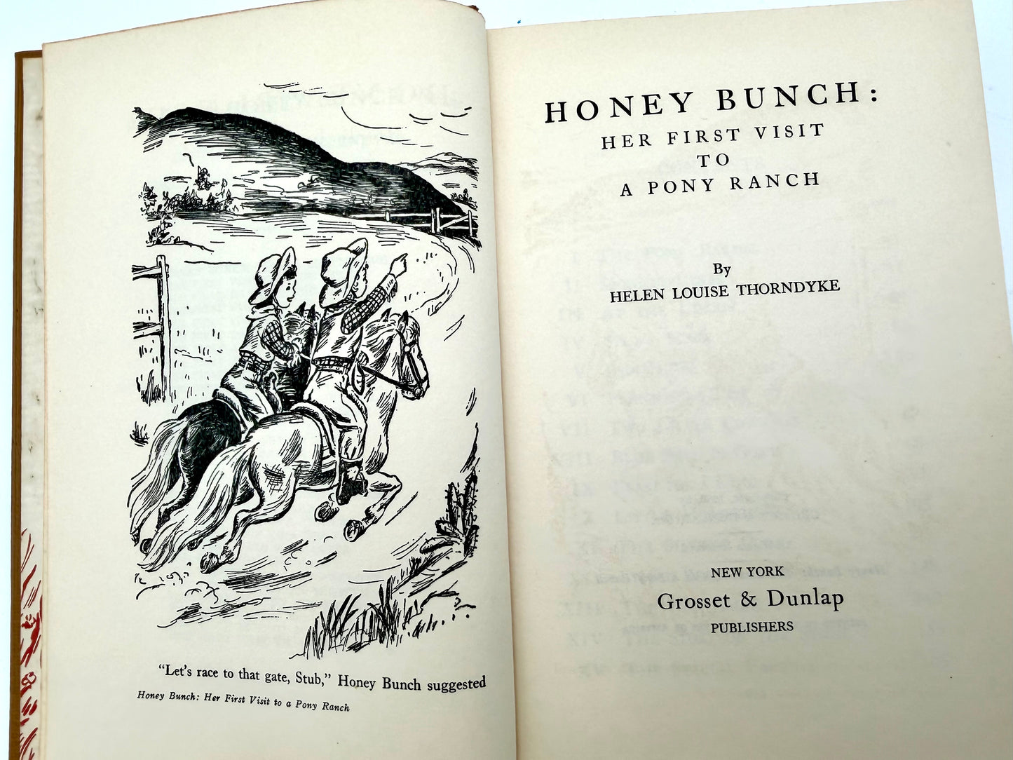 Honey Bunch: Her first visit to pony ranch