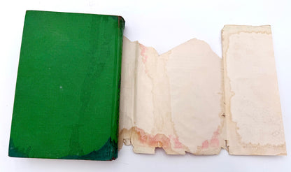 The Bobbsey Twins: On an Airplane Trip